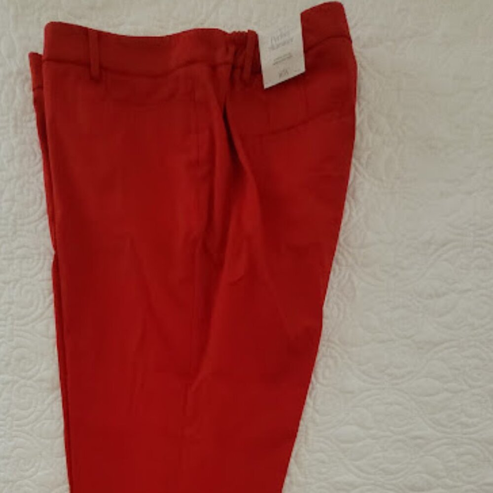 Talbots Perfect Skimmer Pants - Picture 2 of 11